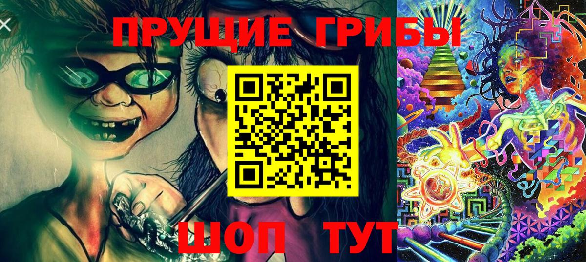 Галлюциногенные грибы GOLDEN TEACHER  Вход с VPN  Новороссийск  Галлюциногенные грибы GOLDEN TEACHER 